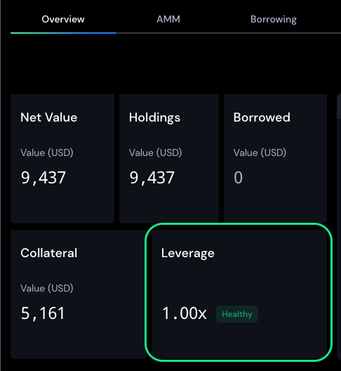 Overview tab Current leverage.png